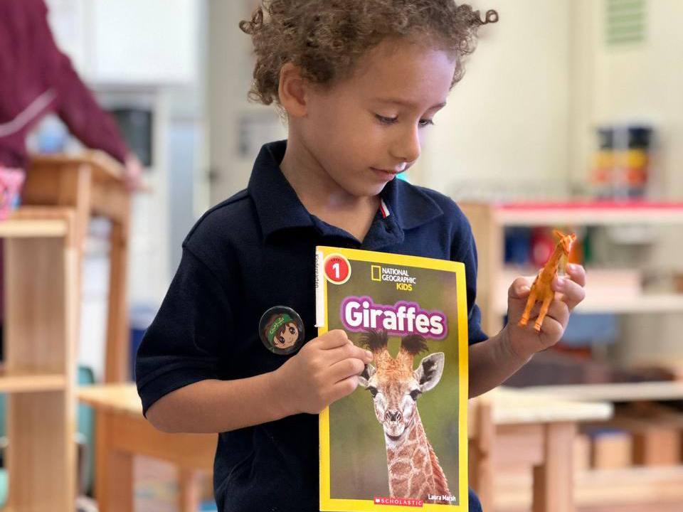 Discovering the wonders of giraffes: A young student explores the animal kingdom with fascination.